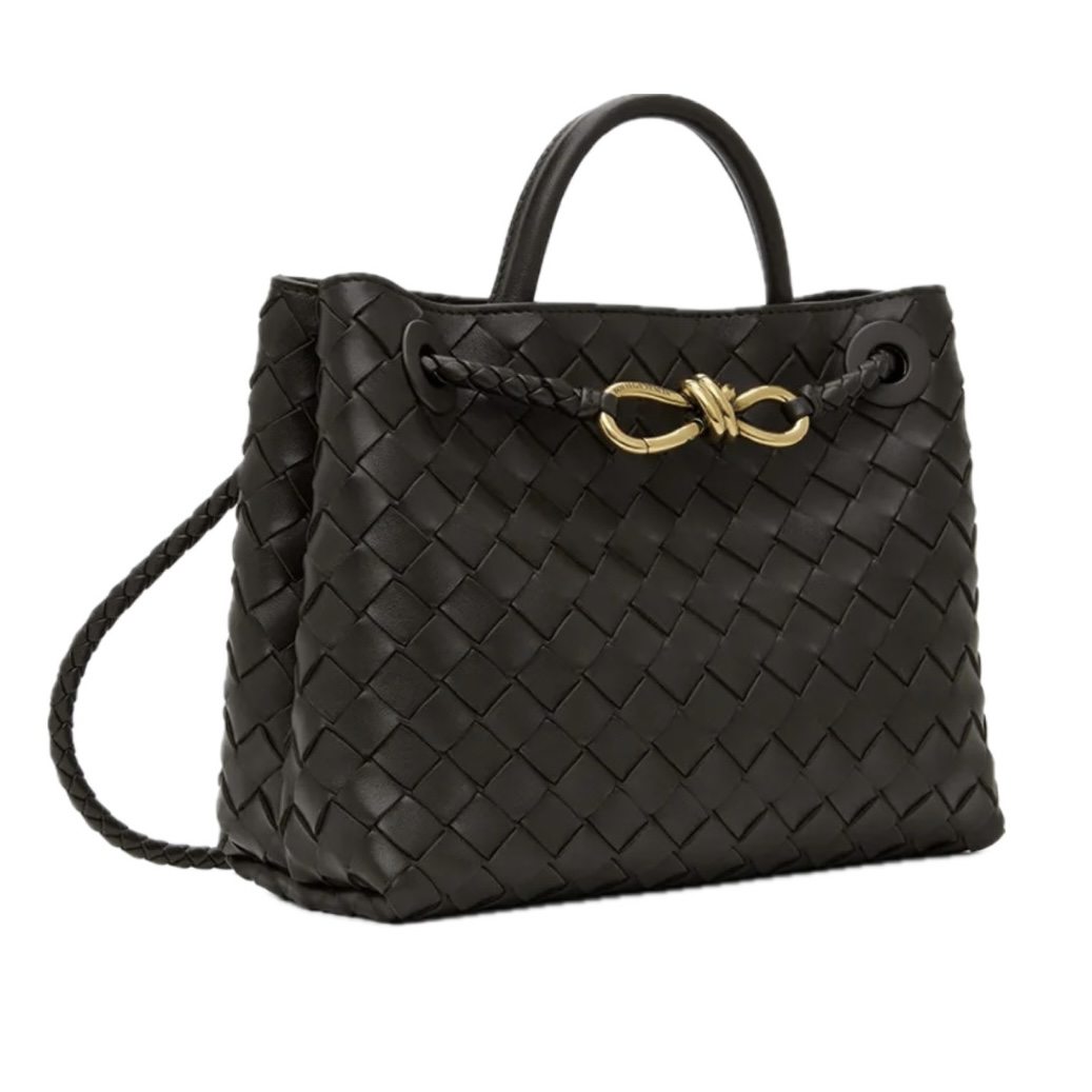 Bottega Veneta Small Andiamo Bag (Black)